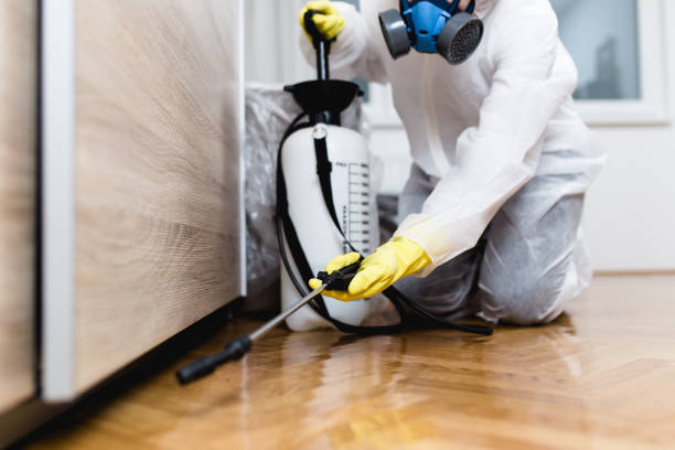 Wasp Removal Services in Deer Park, NY