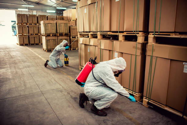 Best Affordable Pest Control Services  in Deer Park, NY