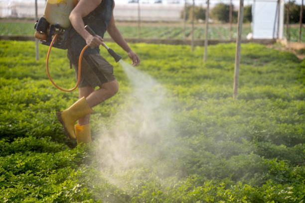 Best Pest Control for Businesses  in Deer Park, NY