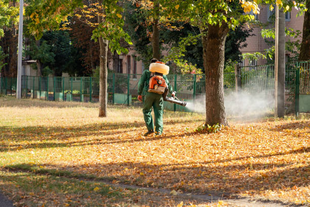 Best Best Pest Control Companies  in Deer Park, NY