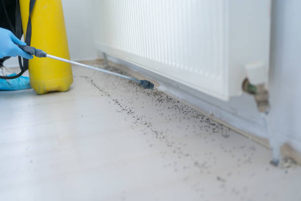 Best Bed Bug Extermination  in Deer Park, NY